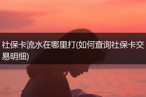社保卡流水在哪里打(如何查询社保卡交易明细)