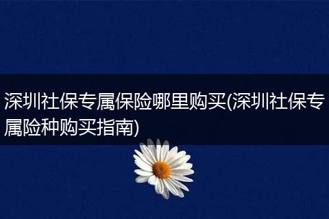 深圳社保专属保险哪里购买(深圳社保专属险种购买指南)