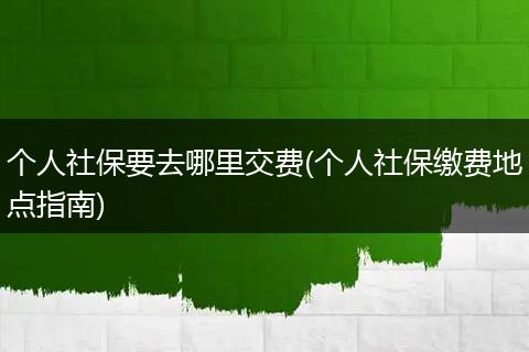 个人社保要去哪里交费(个人社保缴费地点指南)