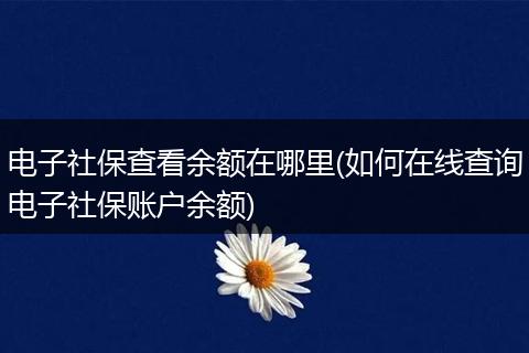 电子社保查看余额在哪里(如何在线查询电子社保账户余额)