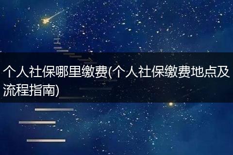 个人社保哪里缴费(个人社保缴费地点及流程指南)