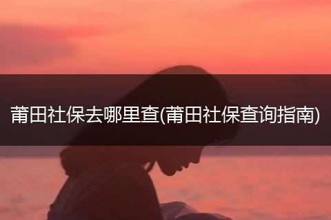 莆田社保去哪里查(莆田社保查询指南)