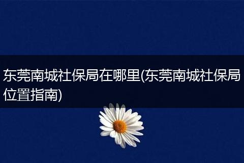 东莞南城社保局在哪里(东莞南城社保局位置指南)