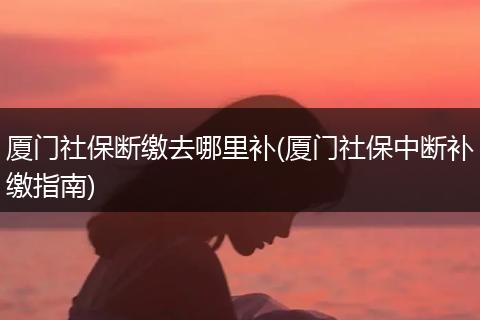 厦门社保断缴去哪里补(厦门社保中断补缴指南)