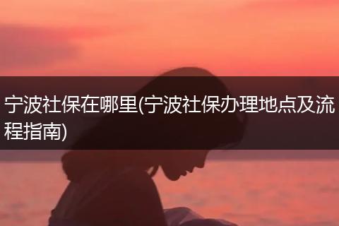 宁波社保在哪里(宁波社保办理地点及流程指南)