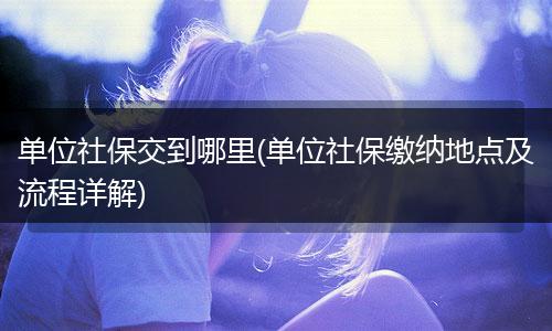 单位社保交到哪里(单位社保缴纳地点及流程详解)