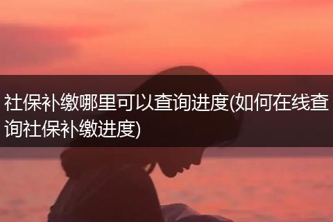 社保补缴哪里可以查询进度(如何在线查询社保补缴进度)