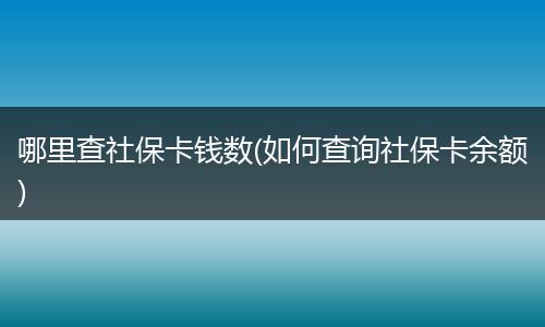 哪里查社保卡钱数(如何查询社保卡余额)
