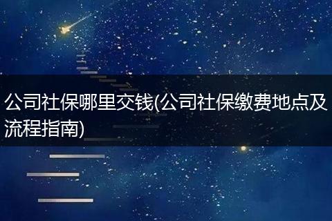 公司社保哪里交钱(公司社保缴费地点及流程指南)