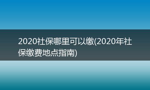 2020社保哪里可以缴(2020年社保缴费地点指南)