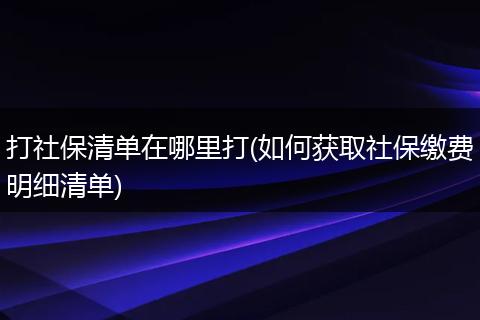 打社保清单在哪里打(如何获取社保缴费明细清单)