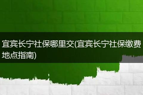 宜宾长宁社保哪里交(宜宾长宁社保缴费地点指南)