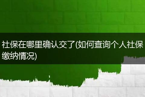 社保在哪里确认交了(如何查询个人社保缴纳情况)