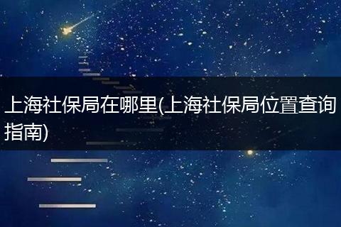 上海社保局在哪里(上海社保局位置查询指南)
