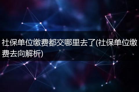 社保单位缴费都交哪里去了(社保单位缴费去向解析)