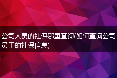 公司人员的社保哪里查询(如何查询公司员工的社保信息)