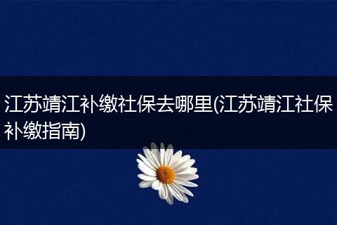江苏靖江补缴社保去哪里(江苏靖江社保补缴指南)