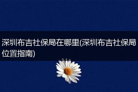 深圳布吉社保局在哪里(深圳布吉社保局位置指南)
