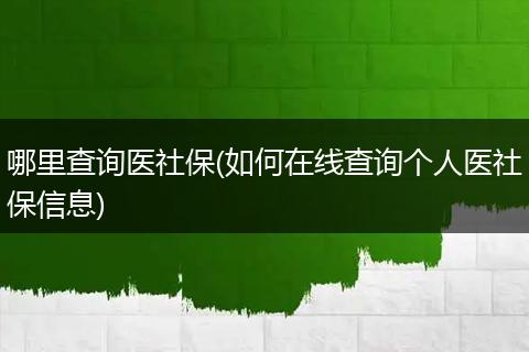 哪里查询医社保(如何在线查询个人医社保信息)