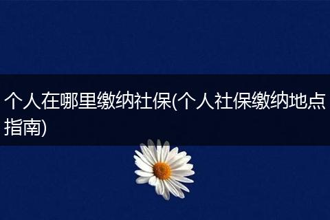 个人在哪里缴纳社保(个人社保缴纳地点指南)