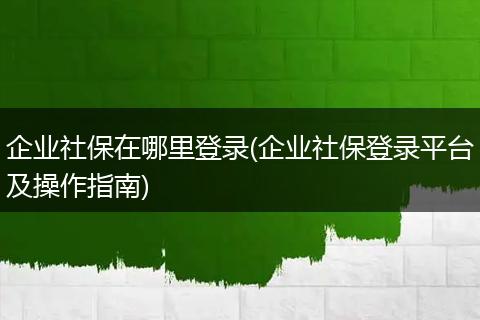 企业社保在哪里登录(企业社保登录平台及操作指南)