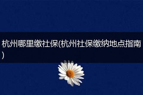 杭州哪里缴社保(杭州社保缴纳地点指南)