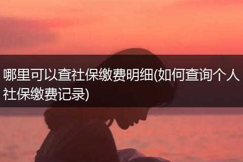 哪里可以查社保缴费明细(如何查询个人社保缴费记录)