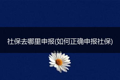 社保去哪里申报(如何正确申报社保)