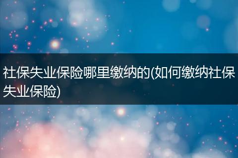 社保失业保险哪里缴纳的(如何缴纳社保失业保险)