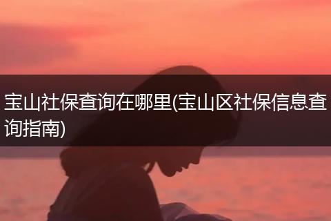 宝山社保查询在哪里(宝山区社保信息查询指南)