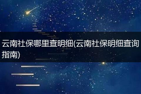 云南社保哪里查明细(云南社保明细查询指南)