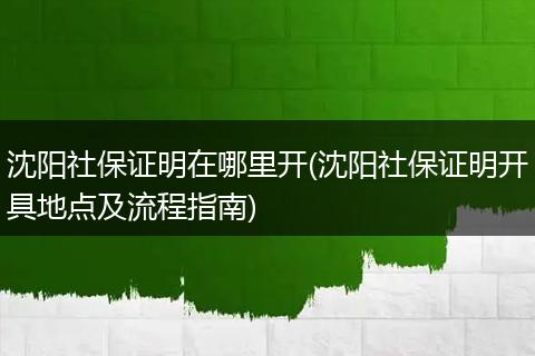 沈阳社保证明在哪里开(沈阳社保证明开具地点及流程指南)