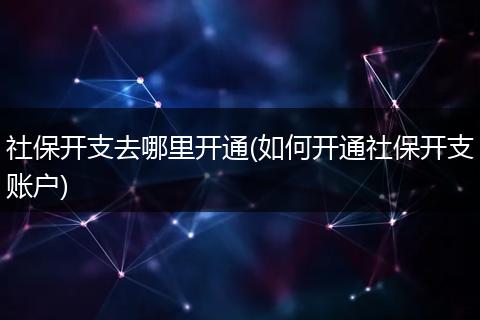 社保开支去哪里开通(如何开通社保开支账户)