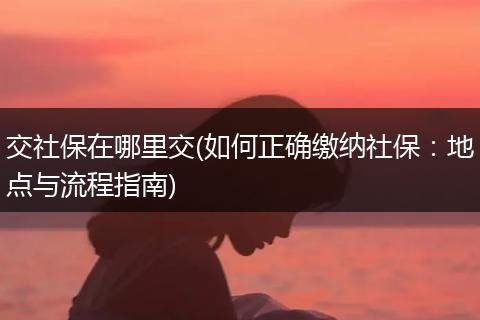 交社保在哪里交(如何正确缴纳社保：地点与流程指南)