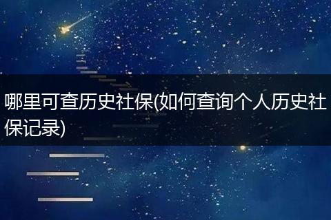 哪里可查历史社保(如何查询个人历史社保记录)