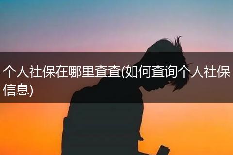 个人社保在哪里查查(如何查询个人社保信息)