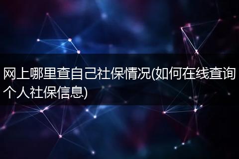 网上哪里查自己社保情况(如何在线查询个人社保信息)
