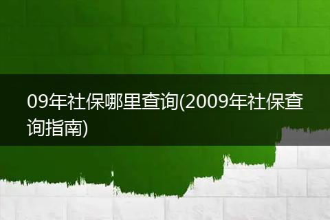 09年社保哪里查询(2009年社保查询指南)