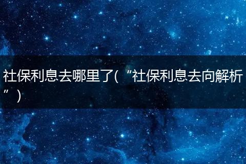 社保利息去哪里了(“社保利息去向解析”)