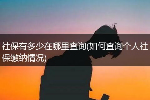 社保有多少在哪里查询(如何查询个人社保缴纳情况)