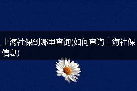 上海社保到哪里查询(如何查询上海社保信息)