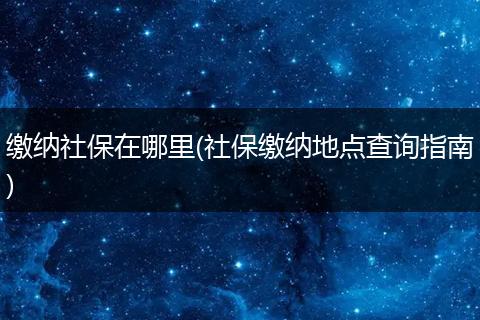 缴纳社保在哪里(社保缴纳地点查询指南)