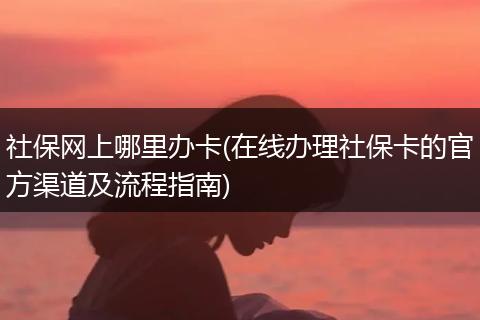 社保网上哪里办卡(在线办理社保卡的官方渠道及流程指南)