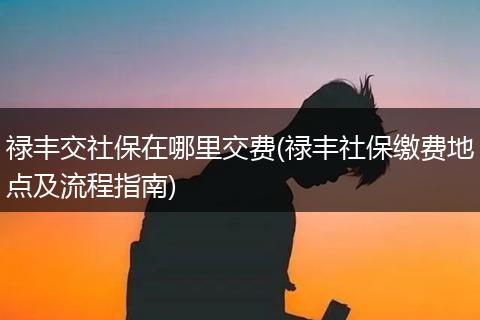 禄丰交社保在哪里交费(禄丰社保缴费地点及流程指南)