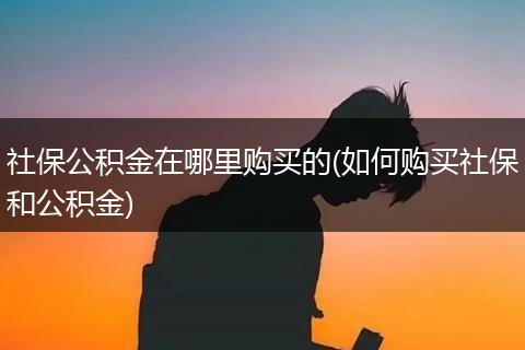 社保公积金在哪里购买的(如何购买社保和公积金)