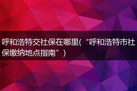 呼和浩特交社保在哪里(“呼和浩特市社保缴纳地点指南”)