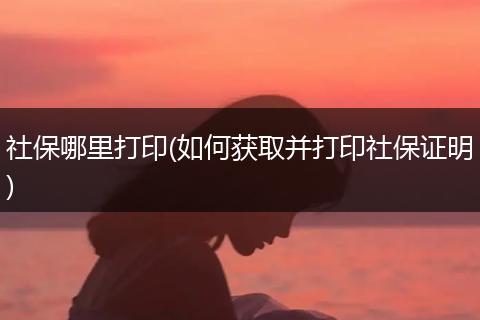 社保哪里打印(如何获取并打印社保证明)