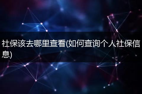 社保该去哪里查看(如何查询个人社保信息)