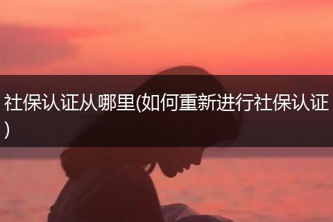 社保认证从哪里(如何重新进行社保认证)