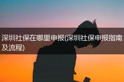 深圳社保在哪里申报(深圳社保申报指南及流程)
